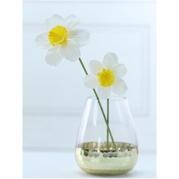 30cm Single Stem Daffodil - White