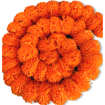 2m - Giant Marigold Garland (Diwali) - Orange