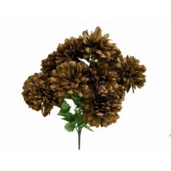 Chrysanthemum - Mum's Flower - Chocolate  