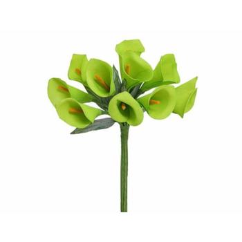 CLEARANCE  Calla Lily - 12 Single Stems - Lime