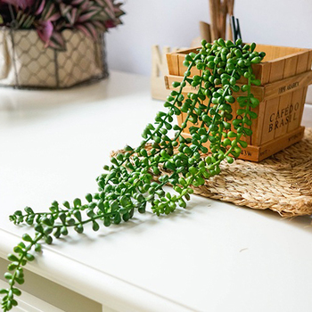 65cm Green String of Pearls