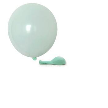 10pcs - 12cm (5")  Pastel Balloons - Aqua