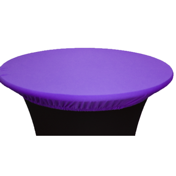 Dry Bar Topper Fitted Lycra - Purple 