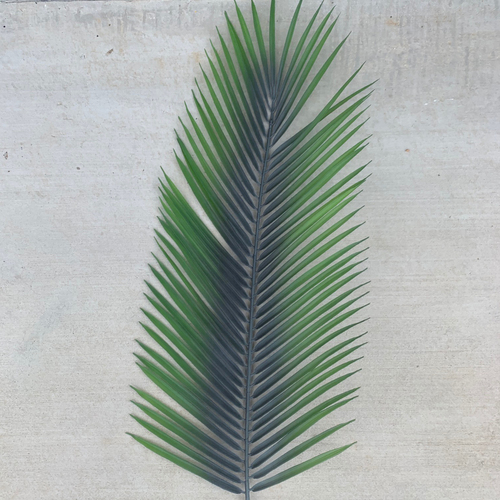 Large View 92cm Large Palm Frond Leaf - 4 Colours Available [colours: Green]