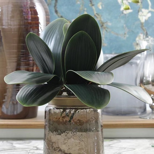 Large View 28cm Orchid Leaf stem 5 leaves - Real Touch