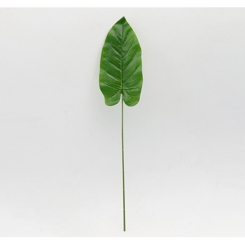 Large View 54cm Calla Lily Leaf - Green