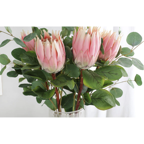 Large View 70cm Soft Pink Native Protea - Large Flower