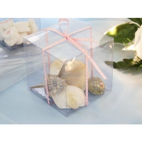 Large View 25pc - 12cm Clear LARGE Favor Box