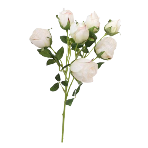 Large View 50cm - White Dried Look Rose Stem 7 Heads