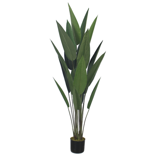 Large View 160cm Artificial Banana Leaf Palm - Potted