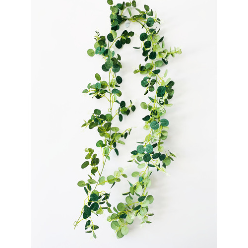 Large View 1.95m Small Leaf Native Silver Dollar Gum Eucalyptus Garland (Cinerea)