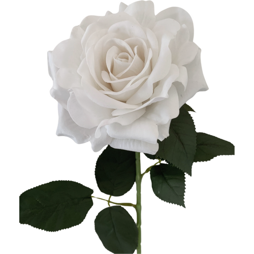 Large View 75cm - 13cm Diameter White Velvet Rose Stem
