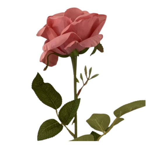 Large View 60cm - Deep Pink Single Stem Rose