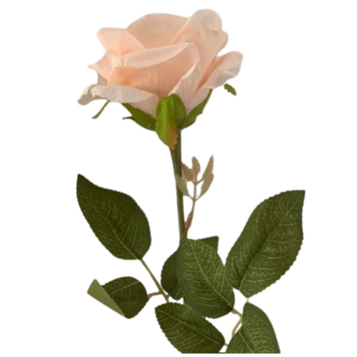 Large View 60cm - Soft Peach Single Stem Rose