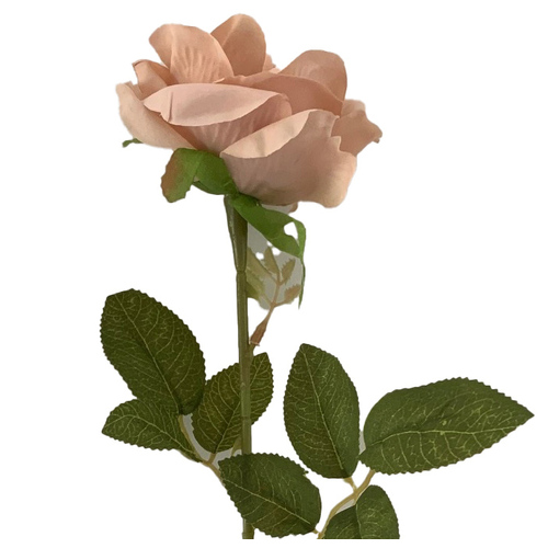 Large View 60cm - Nude Single Stem Rose