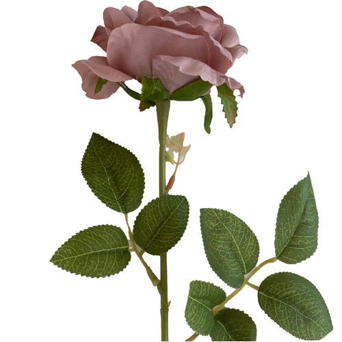 Large View 60cm - Dusty Mauve Single Stem Rose