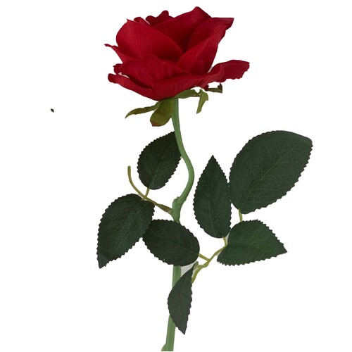 Large View 50cm - Red Velvet Single Stem Rose