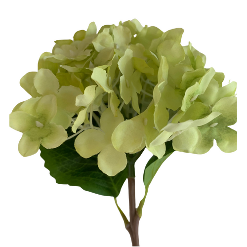 Large View Hydrangea Stem 35cm - Light Green