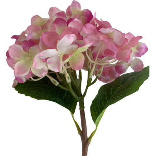 Large View Hydrangea Stem 35cm - Fushia/Pink
