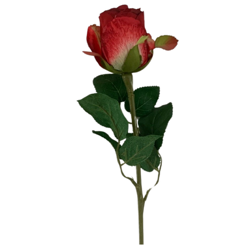 Large View 50cm - Red Single Stem Bud Rose
