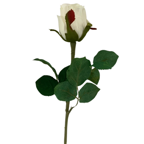 Large View 50cm - White Single Stem Bud Rose