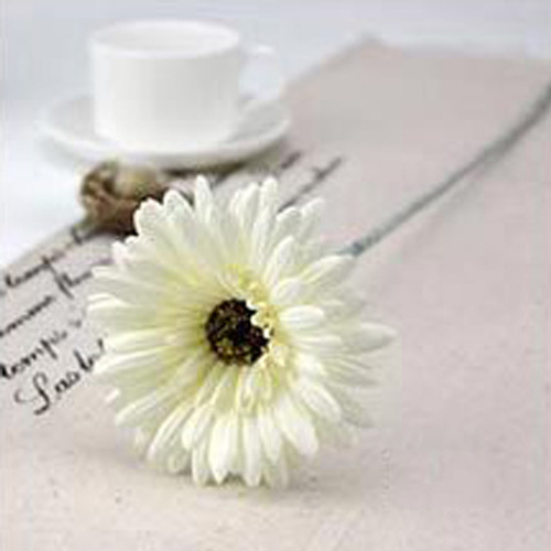 Large View Gerbera Daisy Stem - White/Cream