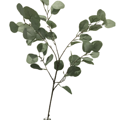Large View 95cm Native Eucalyptus Leaf Branch (Silver Dollar)