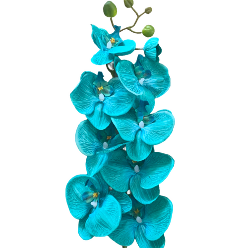 Large View Turquoise Phalaenopsis Orchid 7 head - 100cm