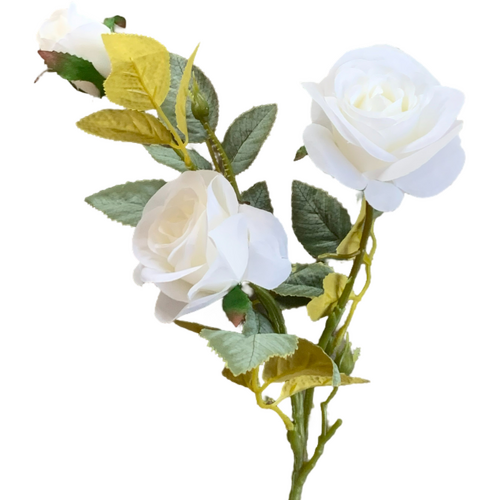Large View 70cm - White/Cream 3 Head Rose Stem