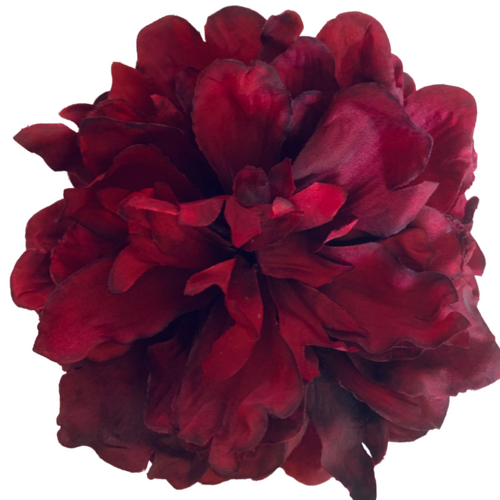 Large View 14cm Peony Flower Head - Dark Red