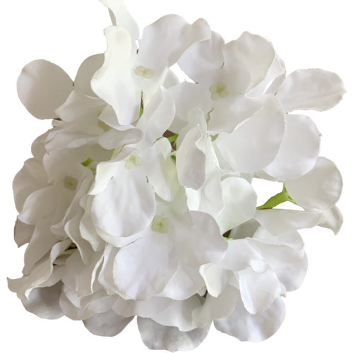 Large View 15cm Hydrangea Flower Head - White