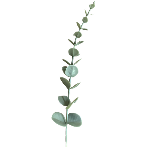 Large View 36cm Pale Green Native Eucalyptus Native Stem