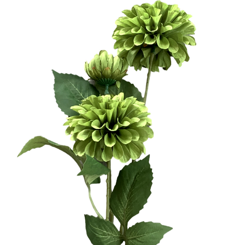 Large View 75cm - 3 Head Dahlia Flower Stem - Green
