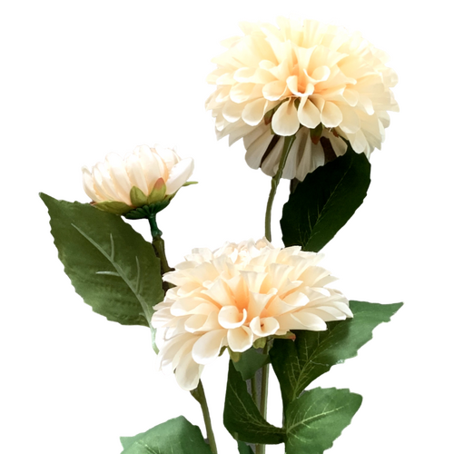 Large View 75cm - 3 Head Dahlia Flower Stem - Cream/Champagne