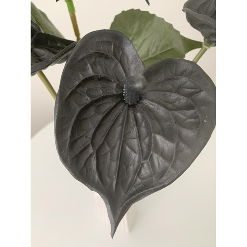 Large View 57cm - Black Real Touch Anthurium Flower