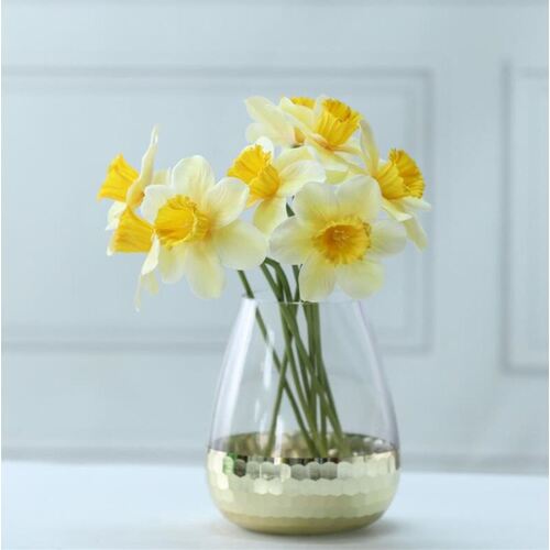 Large View 30cm Single Stem Daffodil - Yellow