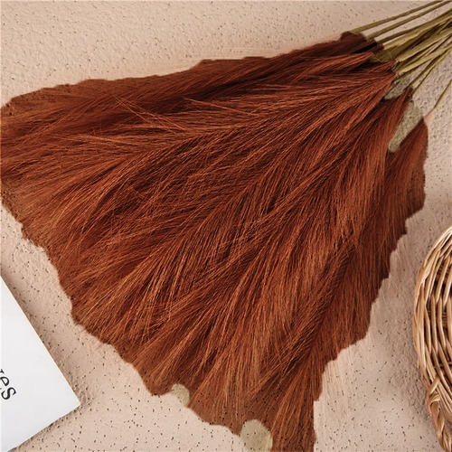 Large View 80cm Pampas Grass - Brown