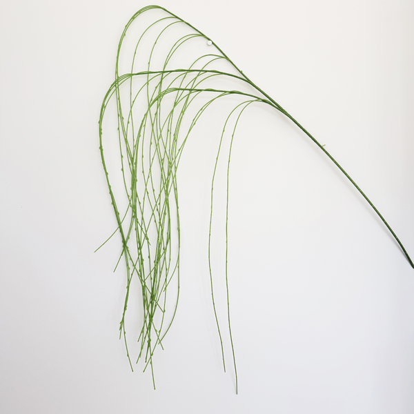 Large View 150cm Artificial Trailing Greenery Fern