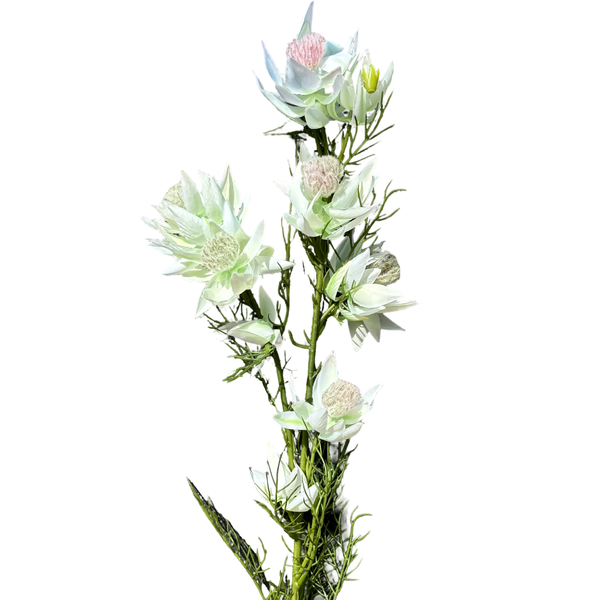 Large View 65cm White/Green Artificial Blushing Bride Stem – 9 Flower Heads