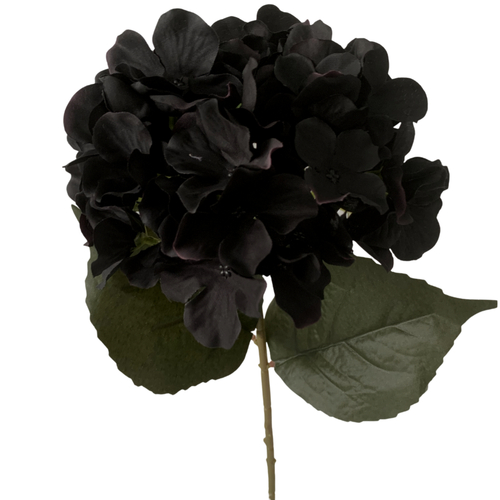 Large View 62cm 5 Head Hydrangea Stem Black