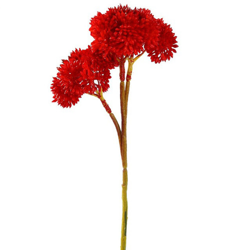 Large View Mini Sedum Succulent Real Touch - Red