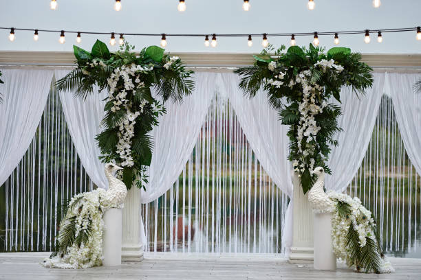 Backdrop Curtains & Draping
