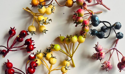 Berry Heads