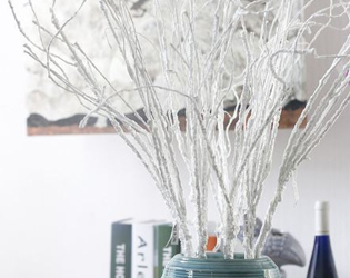 Decorative Twigs
